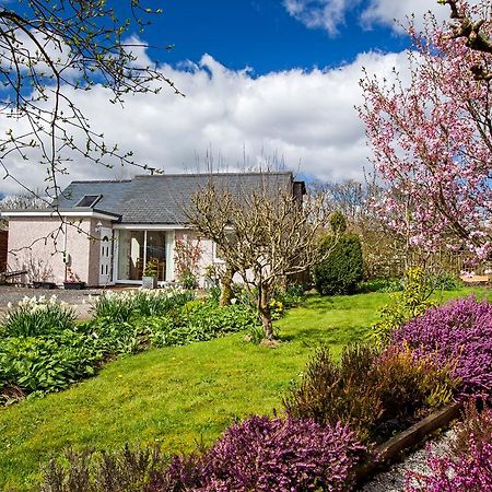 Ty'R Afon - River Cottage Bala Exterior photo